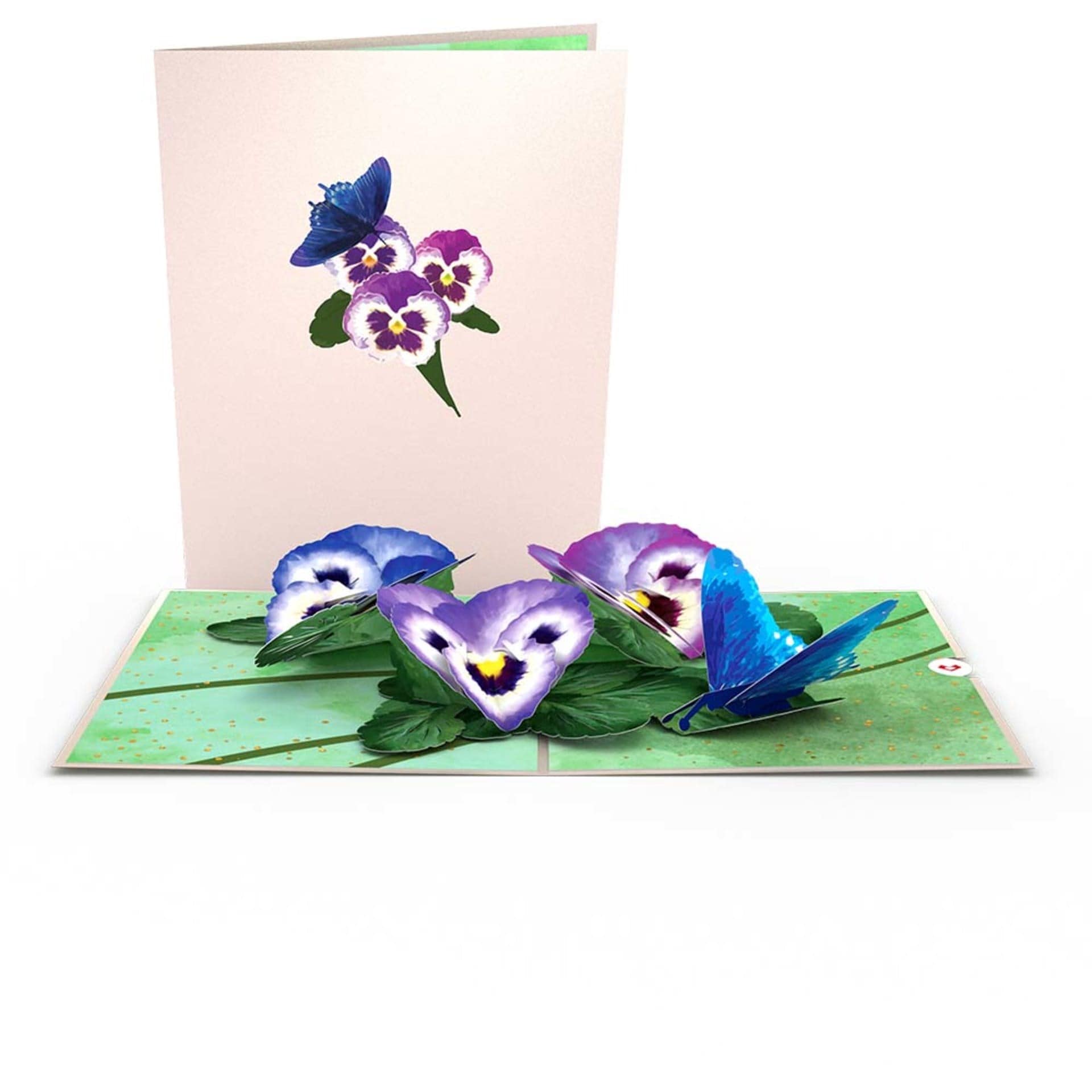 Pansies Lovepop Card